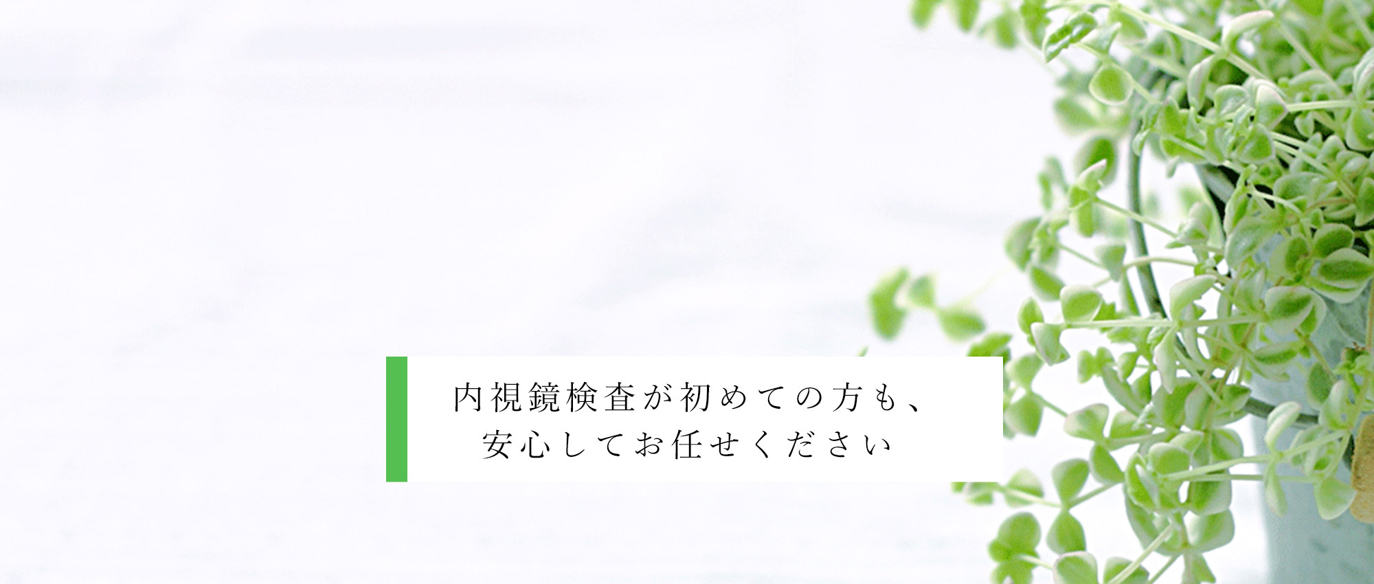 高松市宮脇町 八幡前停留所 内科・消化器内科